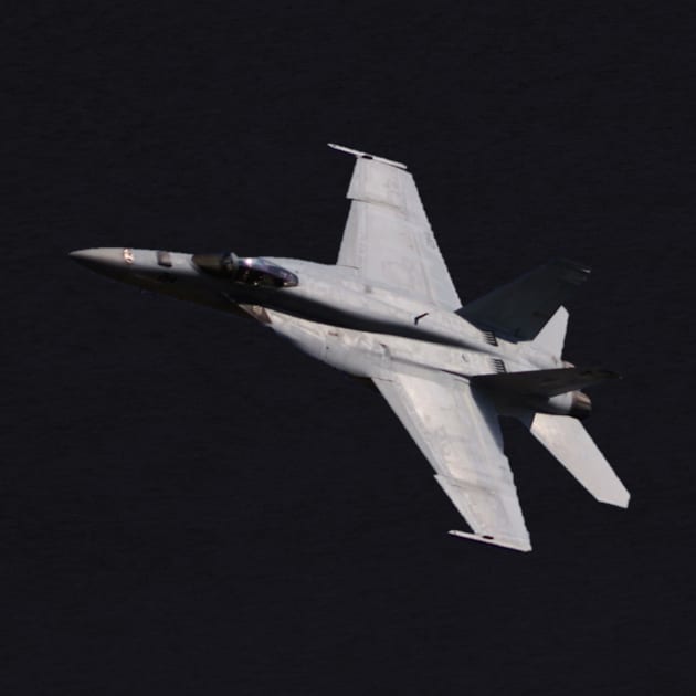 F/A-18E Super Hornet no background by acefox1